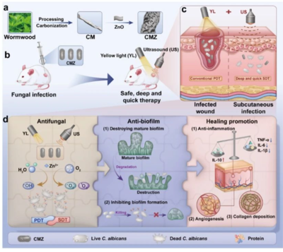 黃光超聲技術(shù) 真菌無(wú)蹤，腳氣克星的科研實(shí)力新突破